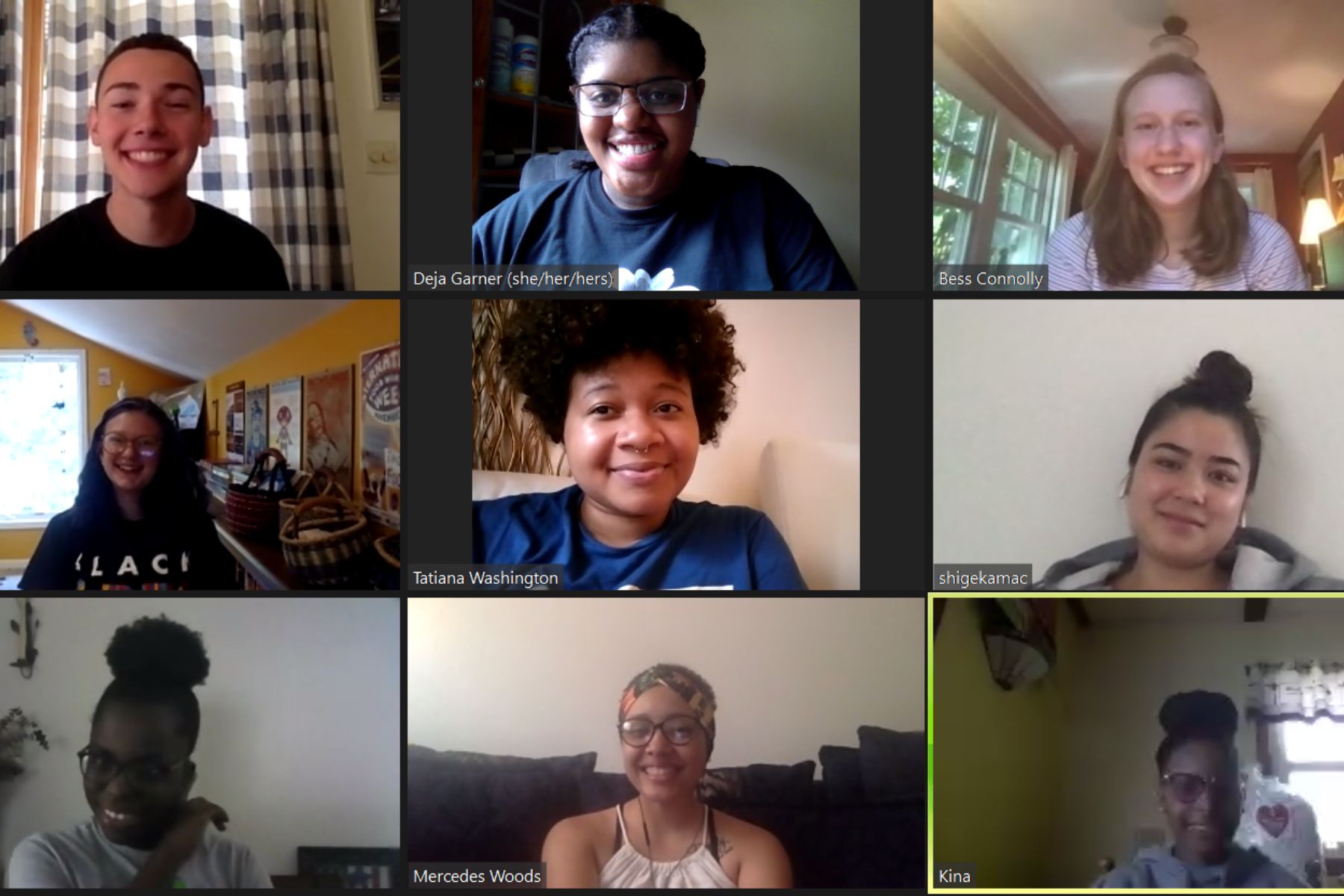 Image of the 2020 Interns participating in a virtual session on Zoom