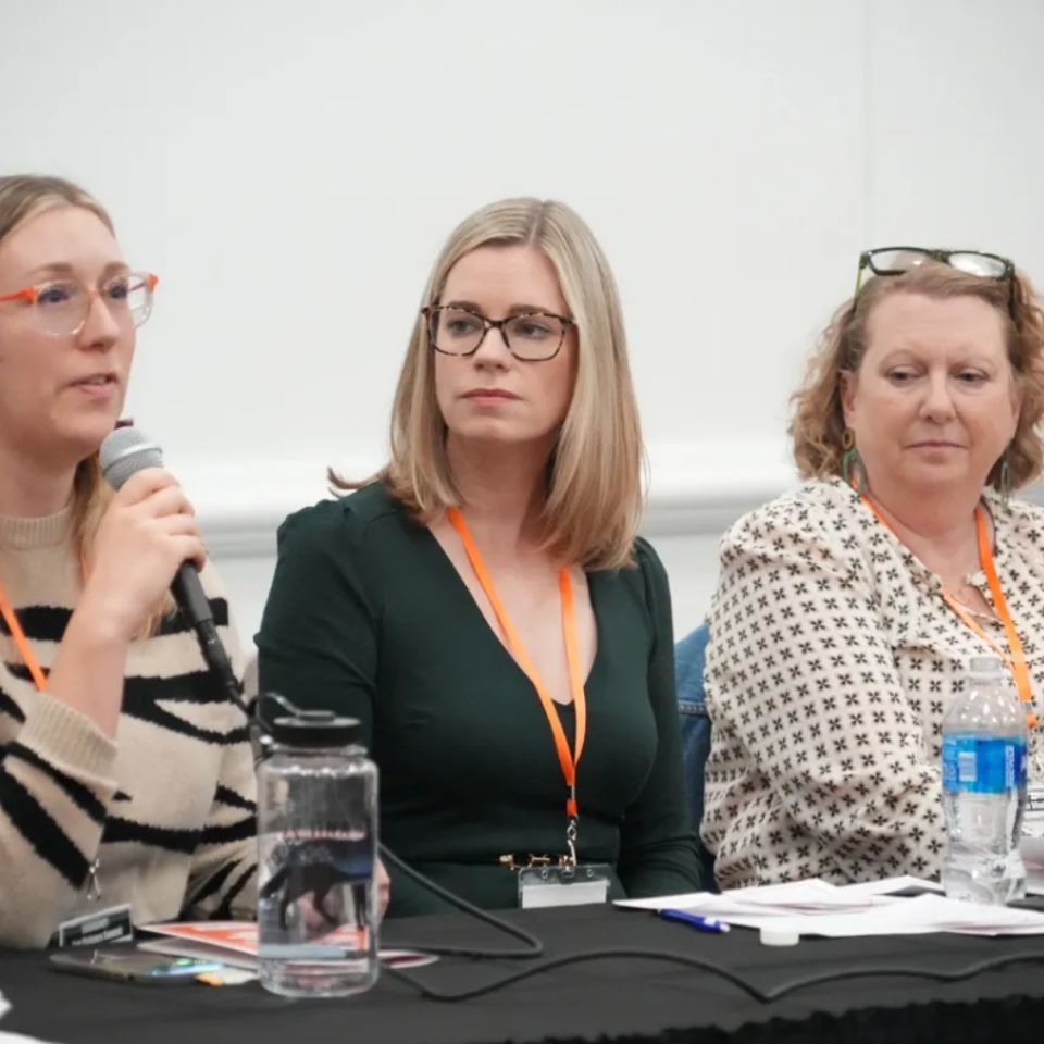 Three women speak on a panel during the Emergency Gun Violence Summit.